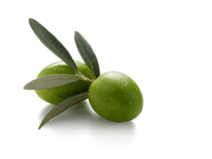 contatti-olificio-madonia contatti-olificio-madonia